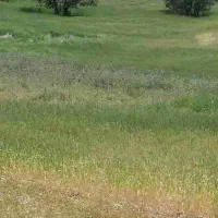 اجاره زمین 20هزار متر