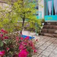 هم خانه خانم برای خانم سالمند