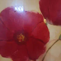استخدام تمیزکار خانم در منزل