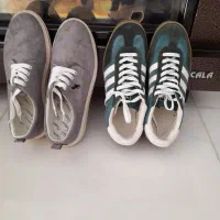 کفش|کیف، کفش، کمربند|شاهینشهر, نبوت|دیوار