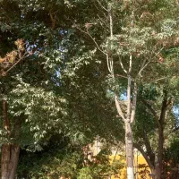 ۱۳۱ متر دو خ، کوثر کنار گذر اتوبان