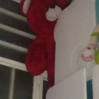 خرس بزرگ