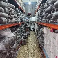 کشمش آفتابی