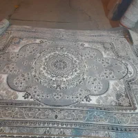 قالی بابهترین قیمت به صورت نقداقساط|فرش|مرودشت, ابوذر جنوبی|دیوار