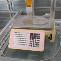 یخچال و ترازو و کالباس بر|یخچال و فریزر|رودان, |دیوار