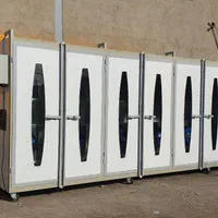 تبدیل انگور به طلای سرخ، با دستگاه خشک‌کن انگور و