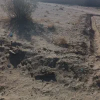 دو قطعه زمین یکی پشت تسویه اب یکی در ناصرآباد|فروش زمین و ملک کلنگی|خاش, |دیوار