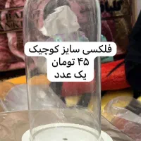 فروش وسایل گل‌آرایی(گلفروشی)|گل و گیاه طبیعی|شیراز, شهرک گلدشت حافظ‎|دیوار