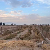 باغ روستای اراضی،باغملک|فروش خانه و ویلا|مبارکه, |دیوار