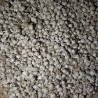 سیر درجه یک محلی