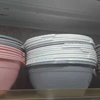 پلاسکو|ظروف نگهدارنده، پلاستیکی، یک‌بارمصرف|رامشیر, |دیوار