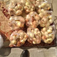 پیاز زرد کبابی درشت و متوسط|عمدهفروشی|صحنه, |دیوار