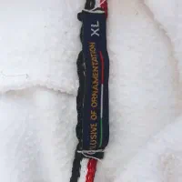 هودی|لباس|رشت, منظریه|دیوار