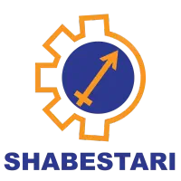 راننده سرویس سواری (با خودرو)