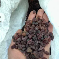 کشمش بیدانه افتابی|خوردنی و آشامیدنی|قزوین, |دیوار