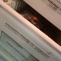 یخچال و فریزر پارس هر دو با هم فقط 15 تومان|یخچال و فریزر|وحیدیه, |دیوار