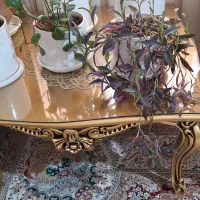 مبل سلطنتی ۹ نفره|مبلمان خانگی و میز عسلی|اندیشه, اندیشه فاز ۴|دیوار
