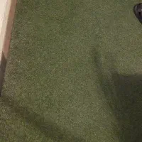 چمن مصنوعی استوک/دست دو/کارکرده/پله|گل مصنوعی|یزد, |دیوار