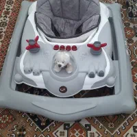 روروئک