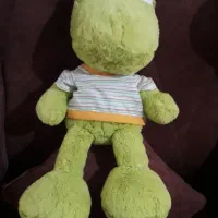 قورباغه سبز زیبا