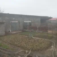 دامداری-فروشی