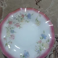ظرف و پیش دستی .میوه خوری .آرکوپال