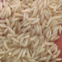 بهترین برنجهای شمال