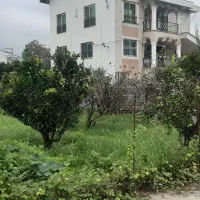 فروش-زمین-419-متری-با-سند-ششدانگ-تک-برگ