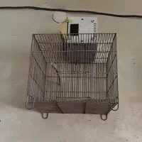 تعدادی قفس سره و قناری لانه گلدین