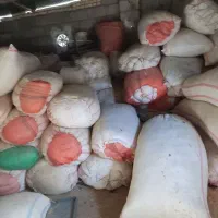 فروش 70شلیف کاه وسه گونی جو دستچین