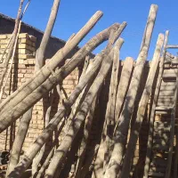 تیرچوبی و دارقالی