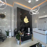 استخدام مشاور مبتدی و حرفه ای