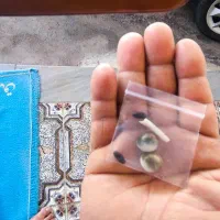 مهرهای قدیمی|جواهرات|شوش, |دیوار