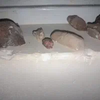 سنگ های قیمتی فروشی|جواهرات|اراک, |دیوار