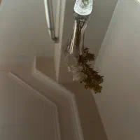 میز ناهارخوری|میز و صندلی غذاخوری|فردیس, فردیس|دیوار