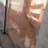 اجاره مغازه در سنگر|اجارهٔ مغازه و غرفه|سنگر, |دیوار