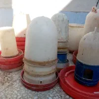 آبخوری و دانخوری مرغ و خروس و بلدرچین