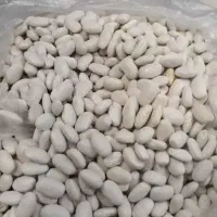 لوبیا‌سفید‌‌حدود‌4تن