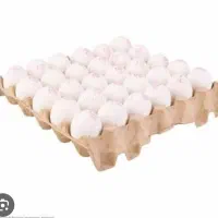 تخم مرغ شانه آیی 459