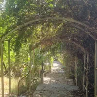 اجاره باغ برای عکاسی مراسم جاجرود