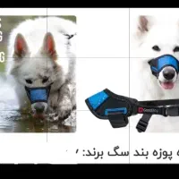 لوازم جانبی حیوانات|لوازم جانبی حیوانات|تهران, جوانمردان (اندیشه)|دیوار