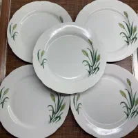 بشقاب گل گندمی و اردو خوری سوکا|ظروف سرو و پذیرایی|تهران, شهرآرا|دیوار
