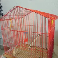 قفس پرنده|لوازم جانبی حیوانات|پردیس, فاز ۳|دیوار