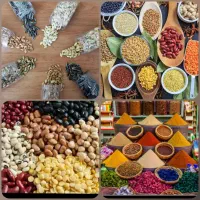 لوبیا درجه یک