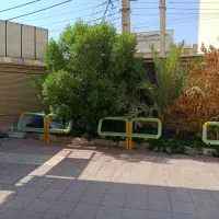 هرس تخصصی درختان و طراحی فضای سبز مدارس و ادارات|خدمات باغبانی و درختکاری|دزفول, |دیوار