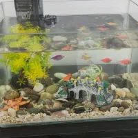 اکواریوم با کلی لوازم