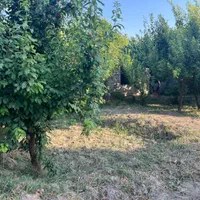 فروش زمین صنعتی و باغی با سالن قدیمی شهریار|فروش دفتر صنعتی، کشاورزی، تجاری|شهریار, کهنز|دیوار