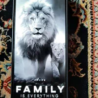 گوشی سامسونگ