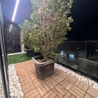 ویلایی-دربست-میرزاکوچک-خان