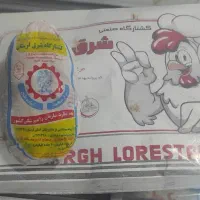 مرغ منجمد کیلویی 135